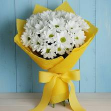 Букет цветов из:  Хризантемы в Новый Уоян