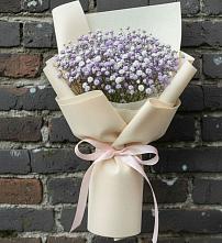 Букет цветов из:  Гипсофила #REPLACE_PRED# Новый Уоян