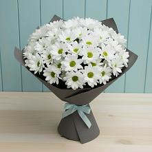 Букет цветов из:  Хризантемы #REPLACE_PRED# Новый Уоян