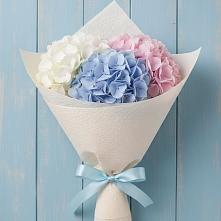 Букет цветов из:  Гортензия в Новый Уоян