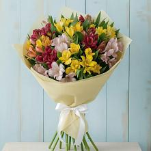 Букет цветов из:  Альстромерии в Новый Уоян