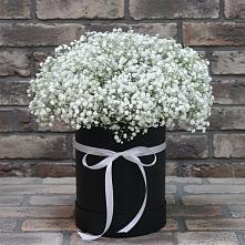 Цветочная композиция из Гипсофила в шляпной коробке в Новый Уоян