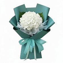 Букет цветов из:  Гортензия в Новый Уоян